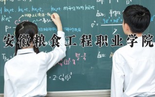 安徽粮食工程职业学院一年学费多少钱及各专业的收费标准(2025参考）