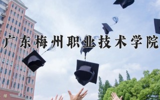 时尚表演与传播专业2025年广东招生院校有哪些？含学费及招生人数