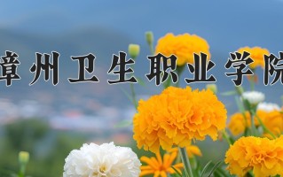 2025年漳州卫生职业学院在四川计划招生人数（附学费及专业录取分)