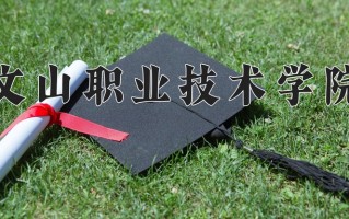 2024年文山职业技术学院招生章程，附办学层次和录取规则