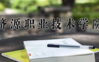 2025年济源职业技术学院在四川计划招生人数（附学费及专业录取分)