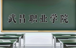 武昌职业学院一年学费多少钱及各专业的收费标准(2025参考）