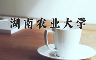 2024年湖南农业大学招生章程，附办学层次和录取规则