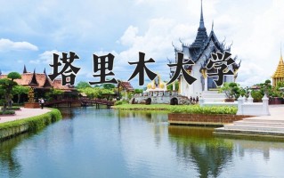 塔里木大学一年学费多少钱及各专业的收费标准(2025参考）