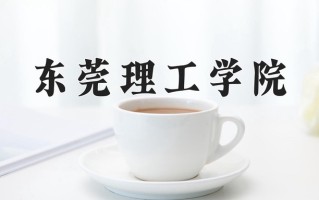 东莞理工学院全国排名及2024年最低录取分数线