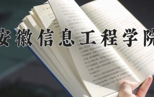 2024年安徽信息工程学院招生章程，附办学层次和录取规则