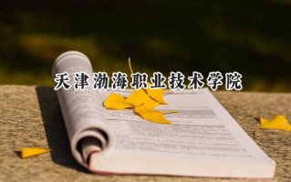天津渤海职业技术学院2024在山东录取分数线是多少？最低445分/最高453分
