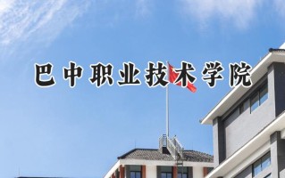 巴中职业技术学院2024在山东录取分数线是多少？最低223分/最高405分