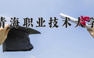 青海职业技术大学一年学费多少钱及各专业的收费标准(2025参考）