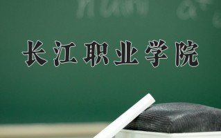 2025年长江职业学院在新疆计划招生人数（附学费及专业录取分)