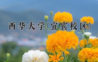 西华大学(宜宾校区)一年学费多少钱及各专业的收费标准(2025参考）