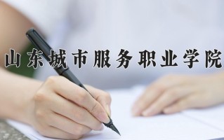 2024年山东城市服务职业学院招生章程，附办学层次和录取规则
