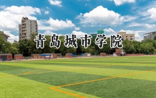 2024青岛城市学院录取分数线：天津最低471分