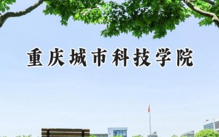 重庆城市科技学院2024在上海录取分数线是多少？最低397分/最高413分