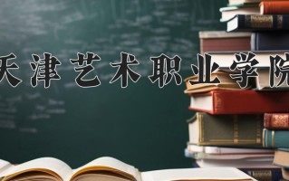 2025年天津艺术职业学院在四川计划招生人数（附学费及专业录取分)