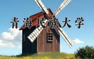 2025年青海民族大学在河南计划招生人数（附学费及专业录取分)