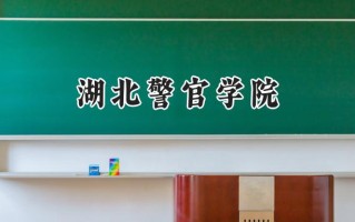 湖北警官学院2024在山东录取分数线是多少？最低516分/最高541分