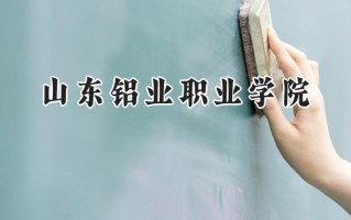 山东铝业职业学院2024在内蒙古录取分数线是多少？最低227分/最高323分