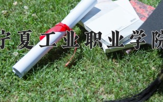 2024年宁夏工业职业学院录取分数线，宁夏最低345分