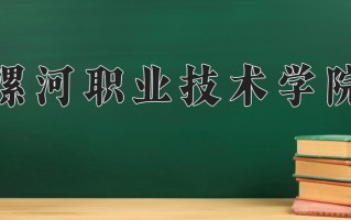 漯河职业技术学院一年学费多少钱及各专业的收费标准(2025参考）
