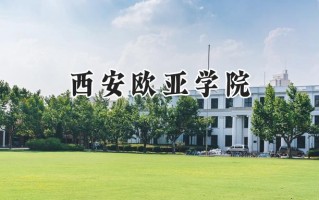 2024西安欧亚学院录取分数线：陕西最低362分