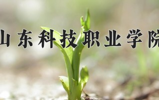 2024年山东科技职业学院招生章程，附办学层次和录取规则