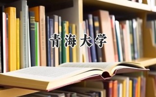 2024青海大学录取分数线：陕西最低506分