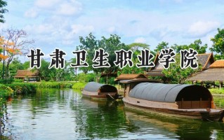 甘肃卫生职业学院2024在青海录取分数线是多少？最低313分/最高407分