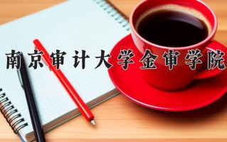南京审计大学金审学院王牌专业有哪些？附2025最新王牌专业排名一览表