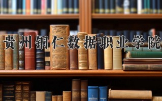 2024贵州铜仁数据职业学院录取分数线：浙江最低269分
