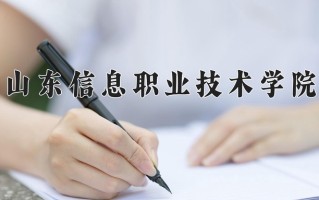 2025年山东信息职业技术学院在河南计划招生人数（附学费及专业录取分)