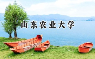 山东农业大学2024在福建录取分数线是多少？最低501分/最高551分