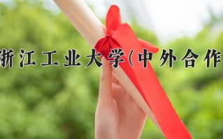 2025年浙江工业大学(中外合作)在重庆计划招生人数（附学费及专业录取分)