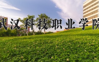 2025年武汉科技职业学院在四川计划招生人数（附学费及专业录取分)