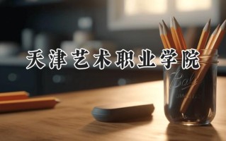 2024天津艺术职业学院录取分数线：天津最低135分