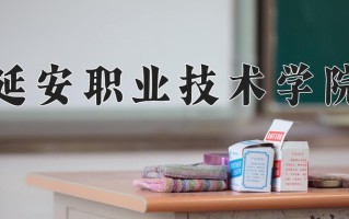 2024年延安职业技术学院招生章程，附办学层次和录取规则