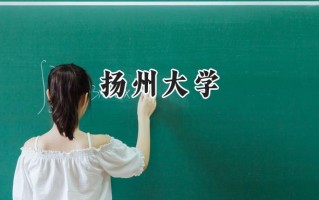 扬州大学2024在新疆录取分数线是多少？最低416分/最高501分