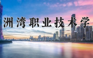 2025年湄洲湾职业技术学院在四川计划招生人数（附学费及专业录取分)