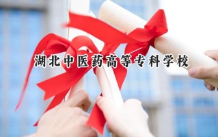 2024湖北中医药高等专科学校录取分数线：宁夏最低353分