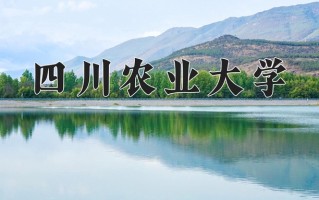 2025年四川农业大学在新疆计划招生人数（附学费及专业录取分)