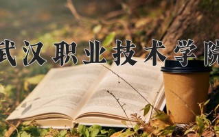 2025年武汉职业技术学院在四川计划招生人数（附学费及专业录取分)