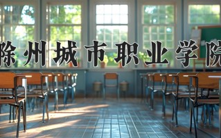 2025年滁州城市职业学院在河北计划招生人数（附学费及专业录取分)