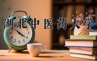 湖北中医药大学最厉害的专业-2024湖北中医药大学最好专业