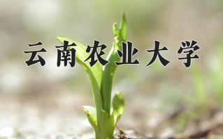 2025年云南农业大学在四川计划招生人数（附学费及专业录取分)