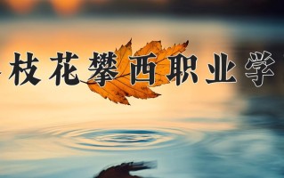 2024年攀枝花攀西职业学院招生章程，附办学层次和录取规则
