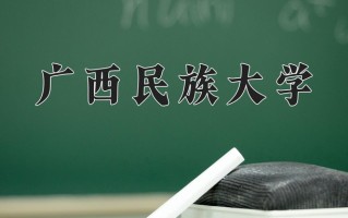 2024年广西民族大学录取分数线，宁夏最低419分