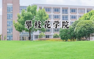 2024攀枝花学院录取分数线：宁夏最低410分