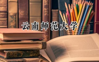 2024云南师范大学录取分数线：山西最低454分
