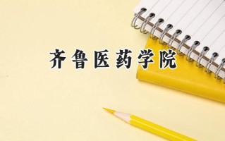 2024齐鲁医药学院录取分数线：山西最低411分