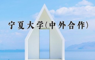 2025年宁夏大学(中外合作)在重庆计划招生人数（附学费及专业录取分)